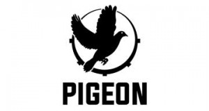 Pigeon