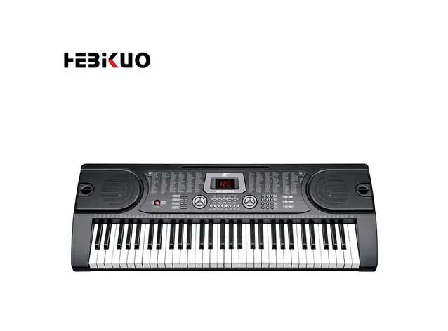 Teclado Organo Mk-2089 61 Teclas 255 Ritmos 255 Tonos